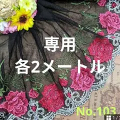 専用