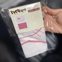 ハイキュー 枕カバー ケンマネコ