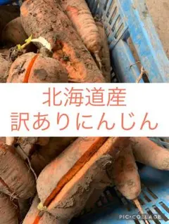 B北海道産訳ありにんじん10kg