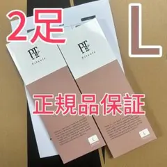 pitsole ピットソール【正規品】 Lサイズインソール2足 p546