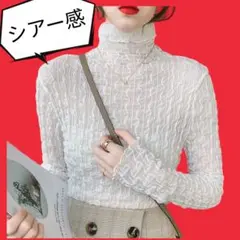 セール❣️プチプラ✨シアー ハイネックトップス シフォン 白 人気 流行 ★