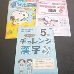 3新品未使用♥　教育同人社　夏休みの完成5年　チャレンジ漢字・計算付