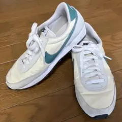 Nike デイブレイク　25cm