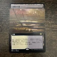 MTG 湿地の干潟 日本語拡張版 1枚