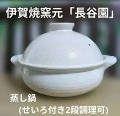 Item thumbnail for item 2cc688b1-452c-4220-b4c6-86c77b02a665