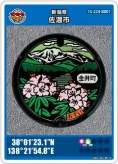 【匿名配送】佐渡市 マンホールカード 金井町