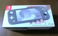 Nintendo Switch Lite グレー　ACアダプター付き