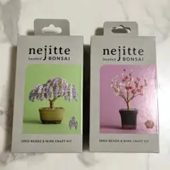 nejitte BONSAI 藤 梅