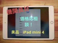 美品 / iPad mini 4 (128GB) / Wi-Fi / gold