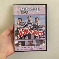 青春の条件 DVD