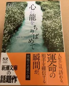 心に龍をちりばめて 白石一文