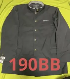 Item thumbnail for item a362f122-66f8-4083-95fd-441b54f4d9e1