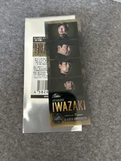 阪神タイガース 岩崎優 フォトグレイ