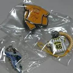 阪神タイガース 秋山選手セット