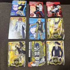 家庭教師ヒットマンREBORN!サザンクロスバトル カードセット㉛