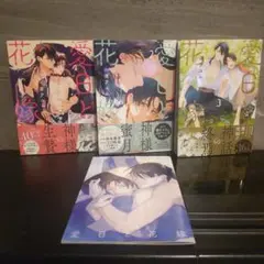 愛日と花嫁 1巻 2巻 3巻 全巻セット 限定版描き下ろし28P小冊子付き