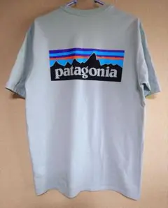 パタゴニア 半袖 Tシャツ P6 ボックスロゴ Sサイズ