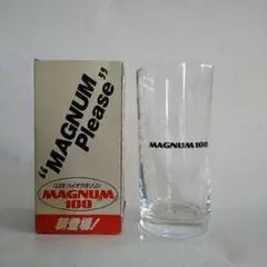 MAGNUM 100 グラス 箱付き