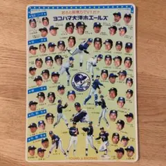 【希少】大洋ホエールズ　昭和　下敷き 横浜大洋ホエールズ メンバー下敷き 1986年 昭和61年 近藤貞雄