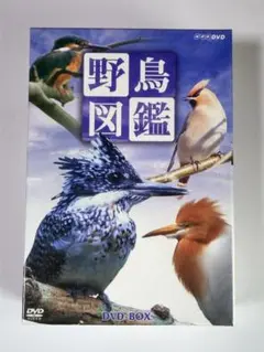 2025年最新】野鳥図鑑 DVD-BOXの人気アイテム - メルカリ
