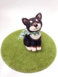黒柴犬＊羊毛フェルト