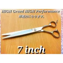 Item thumbnail for item 1a07ca98-20df-4671-aa12-21d27167c161