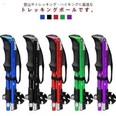 登山杖 トレッキングポール 軽量 折りたたみ T型 ステッキ 5段 グ[1i5M