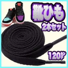 スニーカー 靴紐 黒 120cm 平紐 NIKE adidas vansフラット
