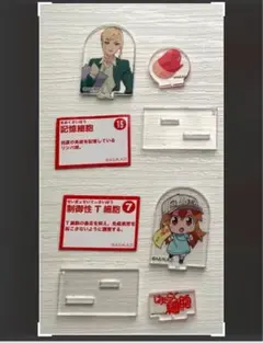 アクリルスタンドセット 記憶細胞 制御性T細胞 血小板