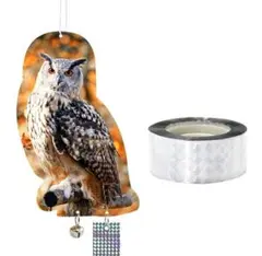 Item thumbnail for item 33756e0c-4d1c-4ec1-a91b-225ca7a63bc1