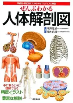 ぜんぶわかる人体解剖図