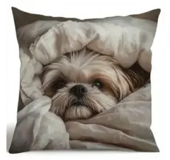 Item thumbnail for item 10990da5-5137-4dd9-9878-39193a501bfb