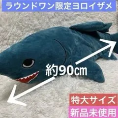 ヨロイザメ　顎　標本　a3 アオザメの顎骨 約35cm】サメ 鮫 歯 牙 顎 骨格 標本 頭骨 剥製