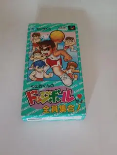 値下げ可能　初期動作確認済　くにおくんのドッジボールだよ全員集合!