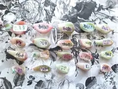 速達付き　フィレンツェ錦　シャビアナピンクフリル錦 2025年最新】フィレンツェ 多肉の人気アイテム - メルカリ