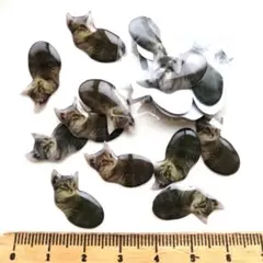 処分品⚠️2点限り⭐座ってる猫18個.。.:*♡デコパーツ