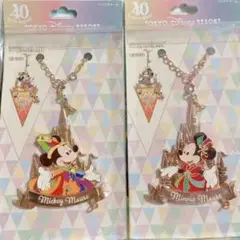東京ディズニーリゾート　40周年　ガーランド バッグチャーム　2個セット