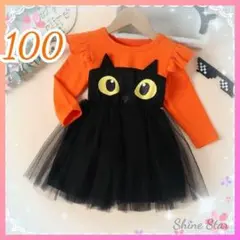 Item thumbnail for item c37860e5-3a1f-47b7-829c-b92448673175