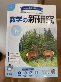 数学の新研究