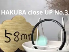 Item thumbnail for item 68a9789a-f71d-4bd0-a285-20b305fc4e27