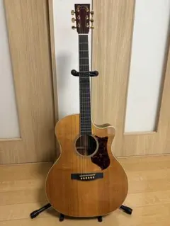 【希少品】Martin エレアコ　gpcpaシリーズ　ギター　マーティン MARTIN (マーティン) エレアコギター GPCPA4 パフォーミング