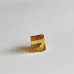 0.6g バルティックアンバー ミニミニサイズ