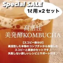 Item thumbnail for item 6c233cea-738a-433c-9d6e-5373a6b6077e