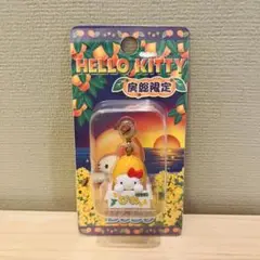 レア【新品未開封】ご当地キティ 千葉限定びわバージョン