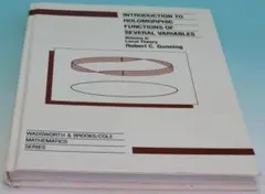 Introduction to Holomorphic Functions 洋書