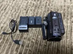 SONY HDR-PJ800(T)