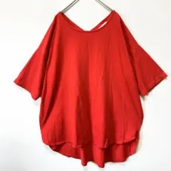 ショコラフィネローブ Tシャツ 4L 相当 大きいサイズ バックVネック