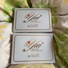スーパーエリート乳酸菌(60包×2箱)