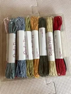 Raphaël Petit 刺繍糸 16本セット