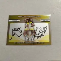 Item thumbnail for item 15939520-c19f-4caf-a9b6-21f7c4a469ed